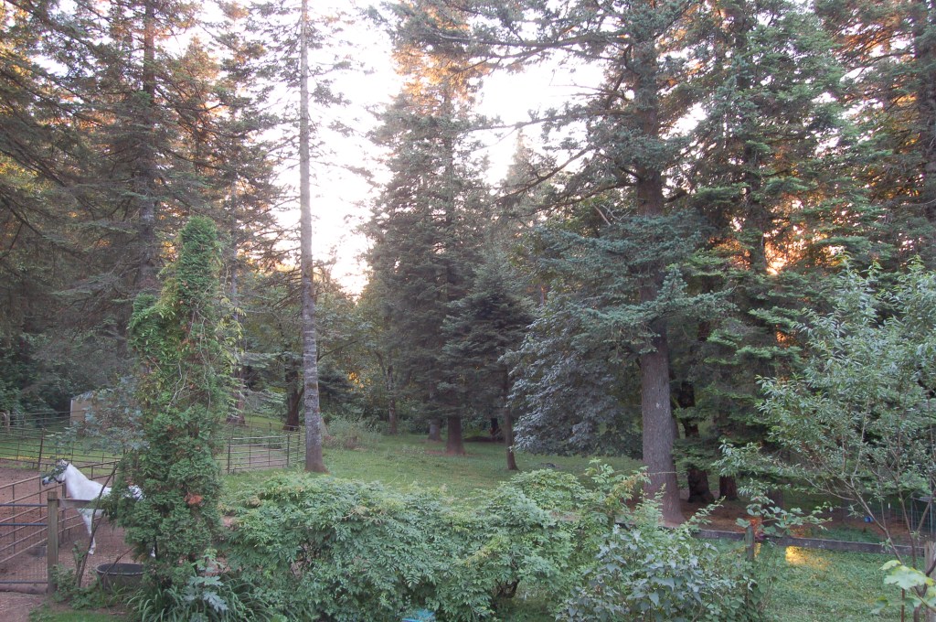 Blessings on a&nbsp;Farm