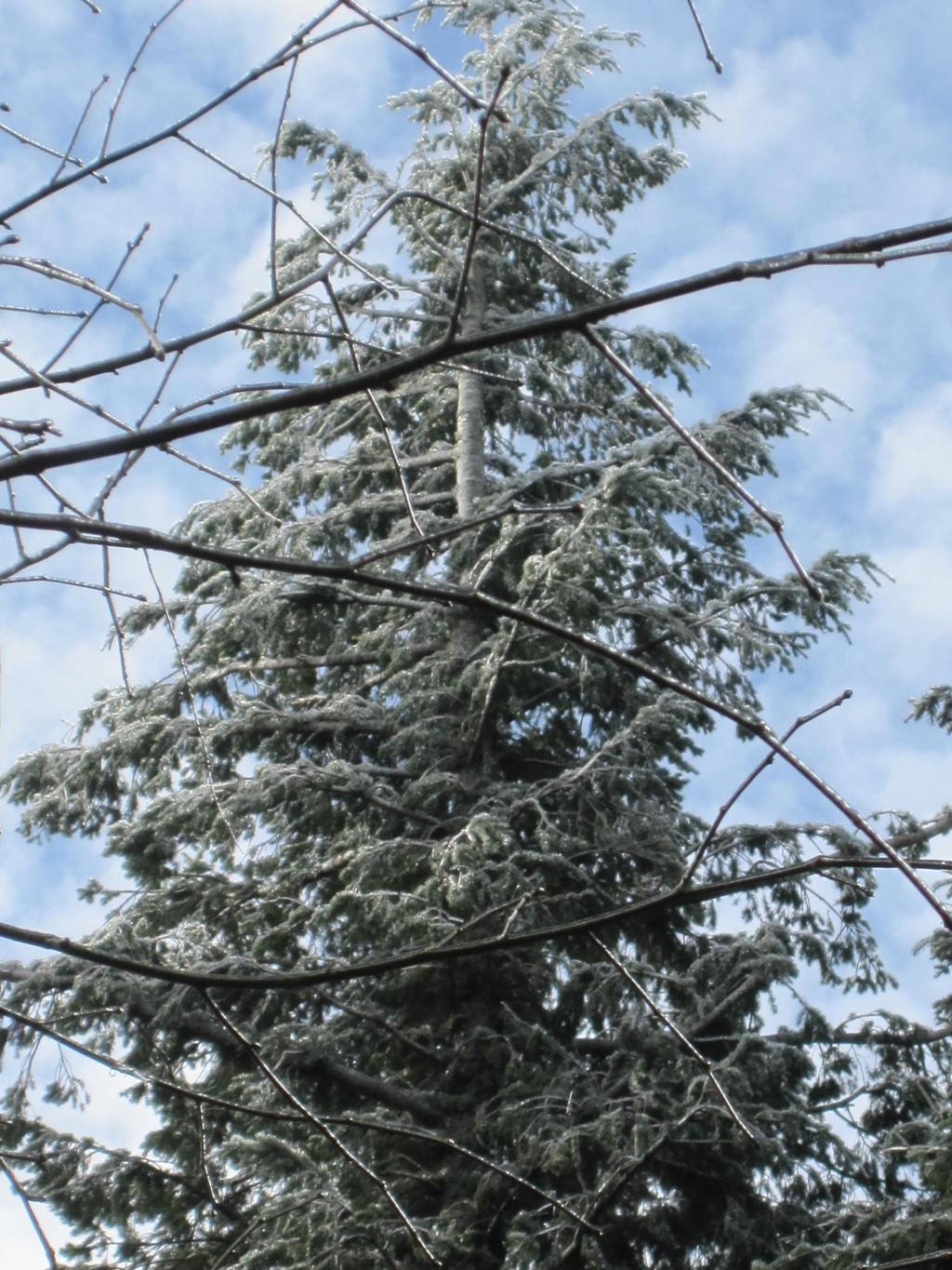 Another Happy New&nbsp;Year!