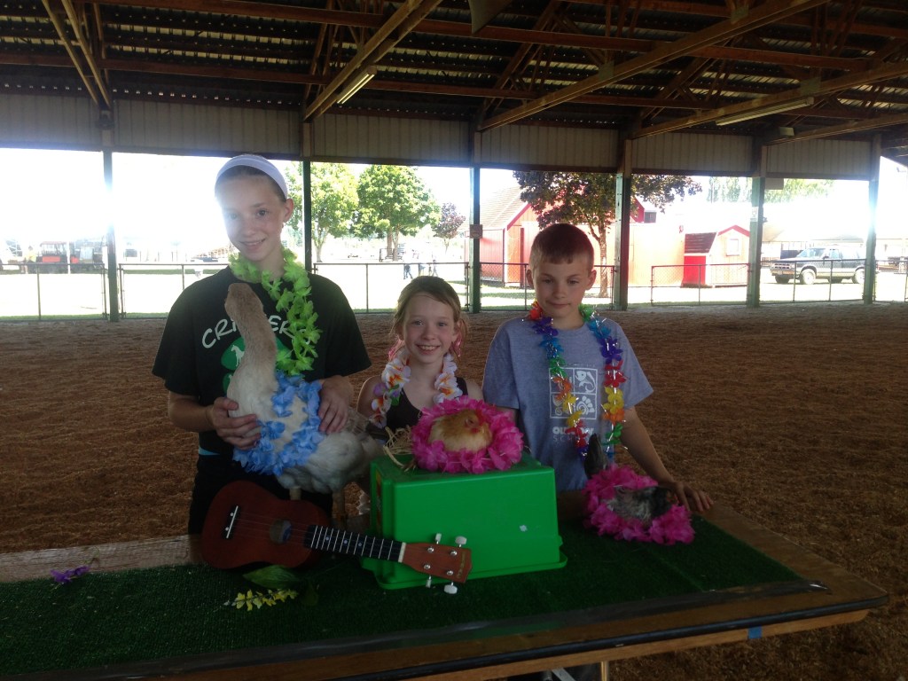 Reserve champion in the poultry costume contest!